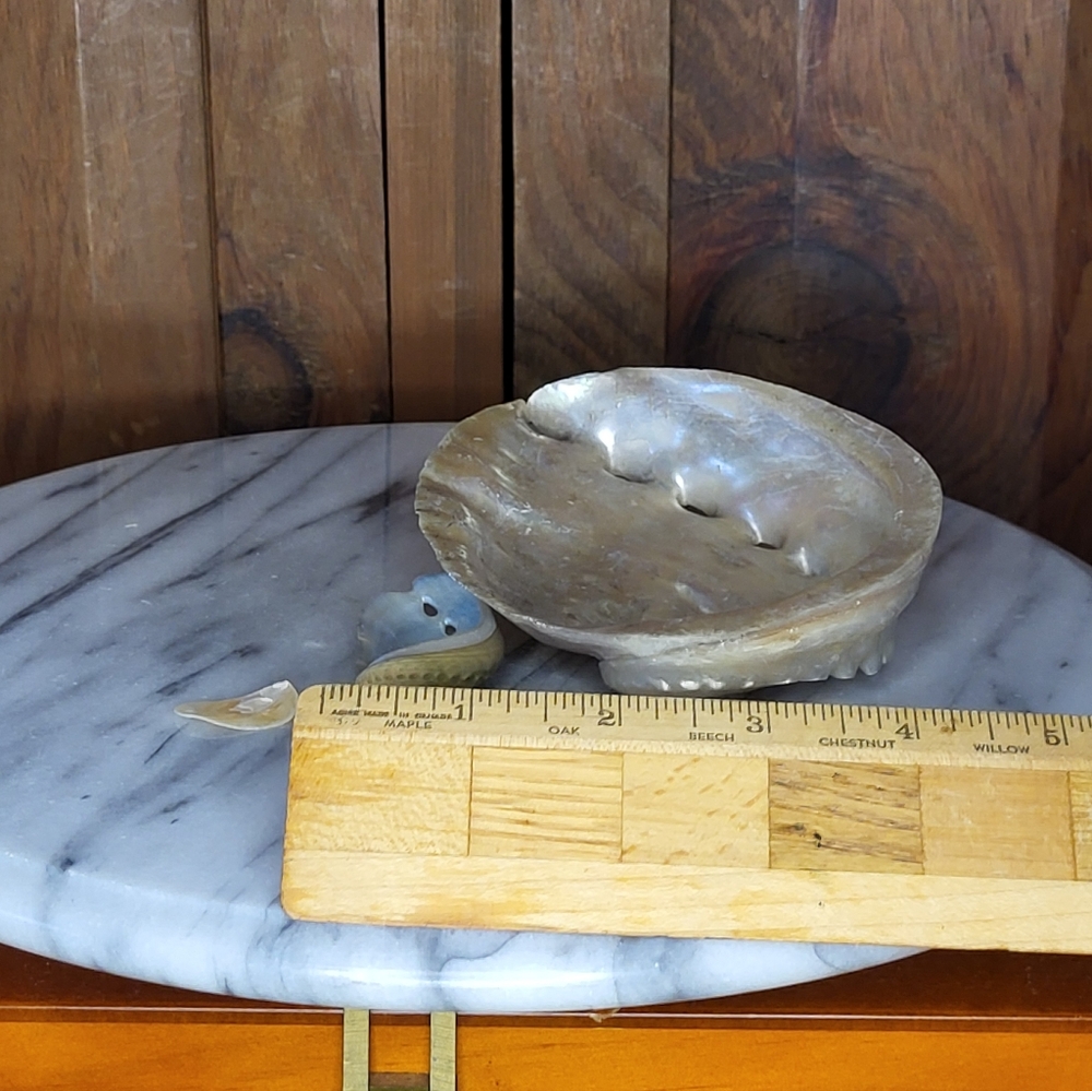 Iridescent Abalone Shell Pair - Picture 12 of 16